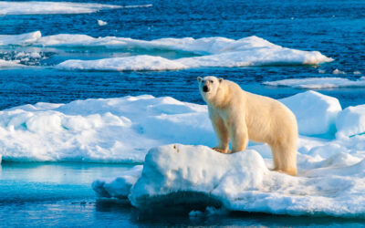 The 5 Most Extravagant Trips Made by the Private Jet Owners in 2024