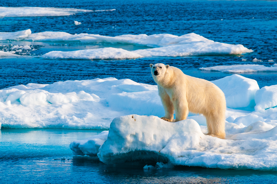 The 5 Most Extravagant Trips Made by the Private Jet Owners in 2024